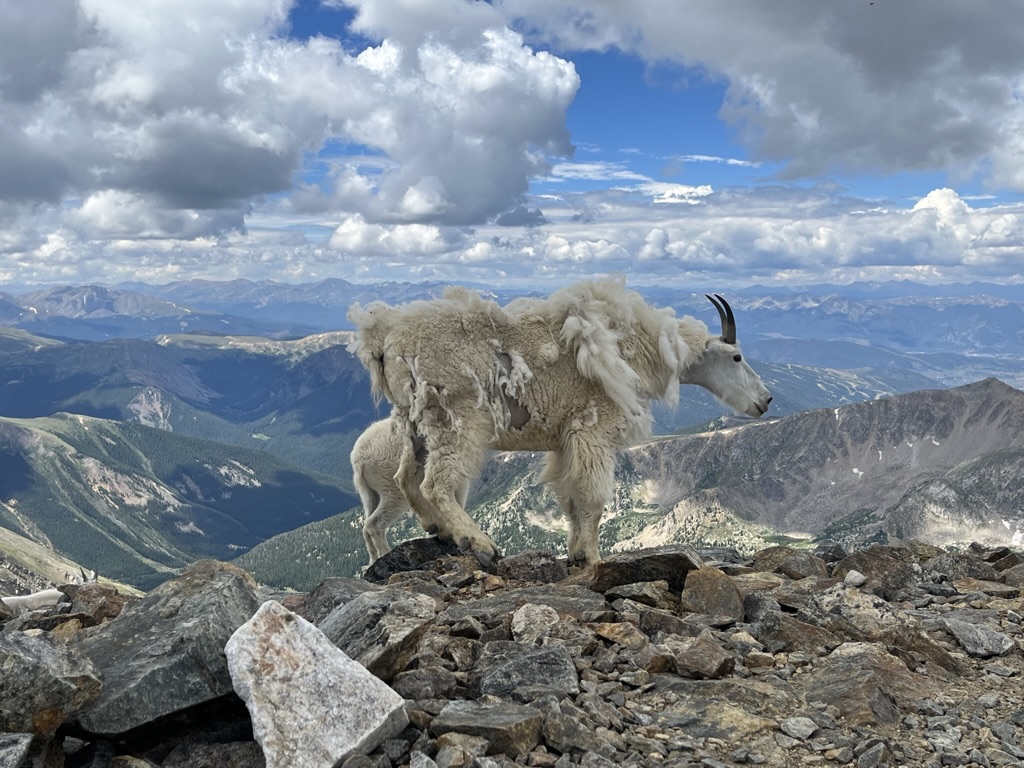 Hiking photo